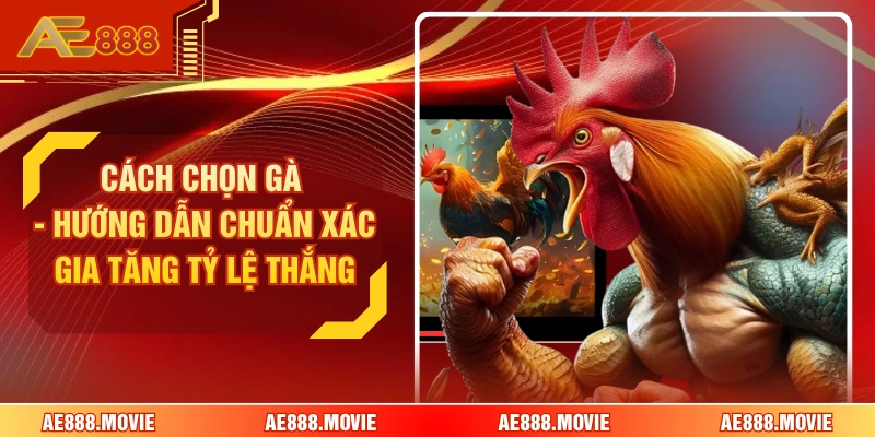Cách Chọn Gà - Hướng Dẫn Chuẩn Xác Gia Tăng Tỷ Lệ Thắng
