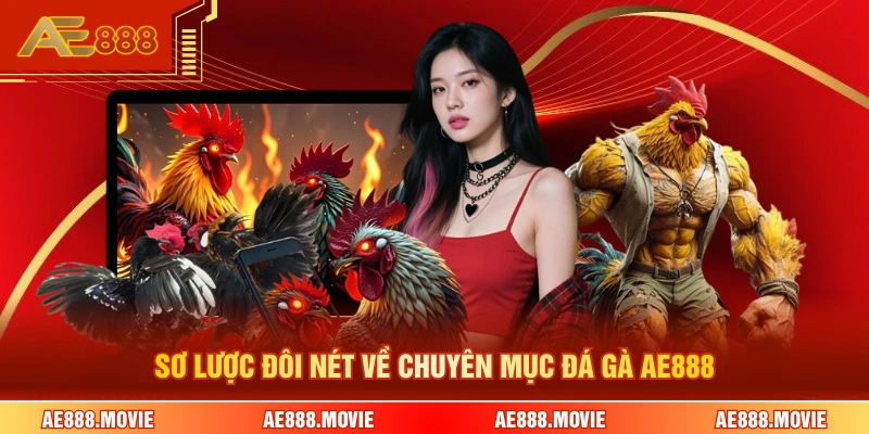 Sơ lược đôi nét về chuyên mục đá gà AE888